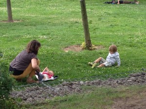 Auf der Wiese...
