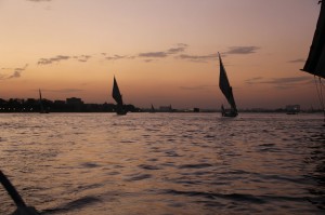 IMG_1361_2