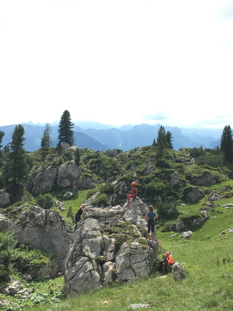 Slide 1